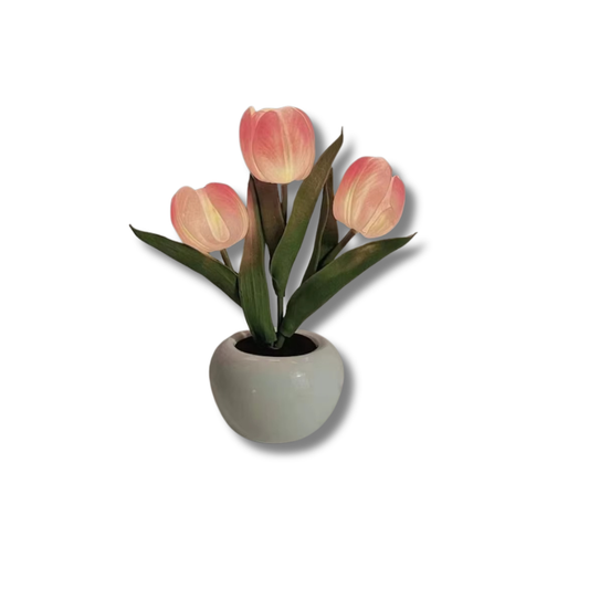 TulipGlow Vase